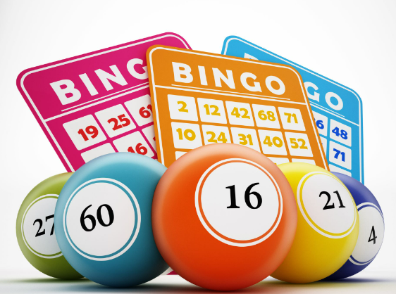 Online With Free Streaming Bingo Video games - Find Methods to experience Free Bingo